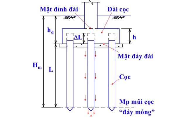 vẽ cọc bê tông