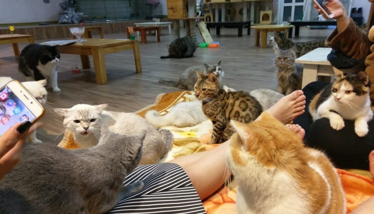 Việc kiểm soát mùi là cần thiết