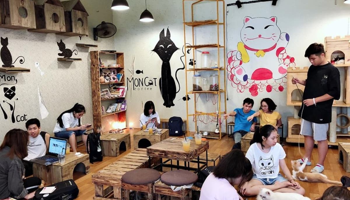 Đảm bảo vệ sinh và an toàn cho quán cafe