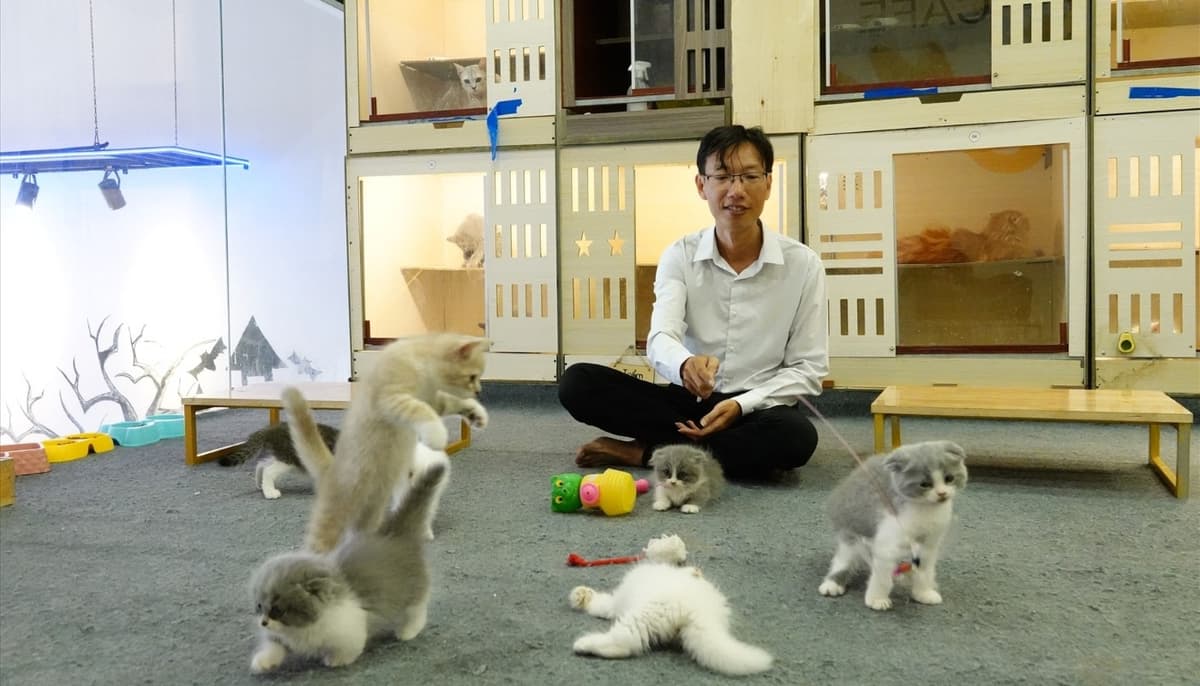 Thú cưng giải trí và thực hiện các bài tập thể chất
