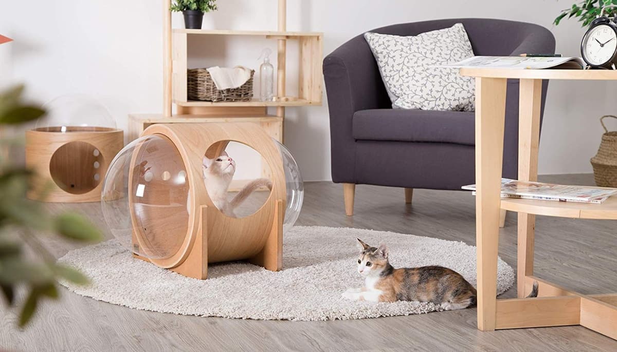Thiết kế minimalist với nguyên tắc giảm thiểu tối đa các chi tiết thừa