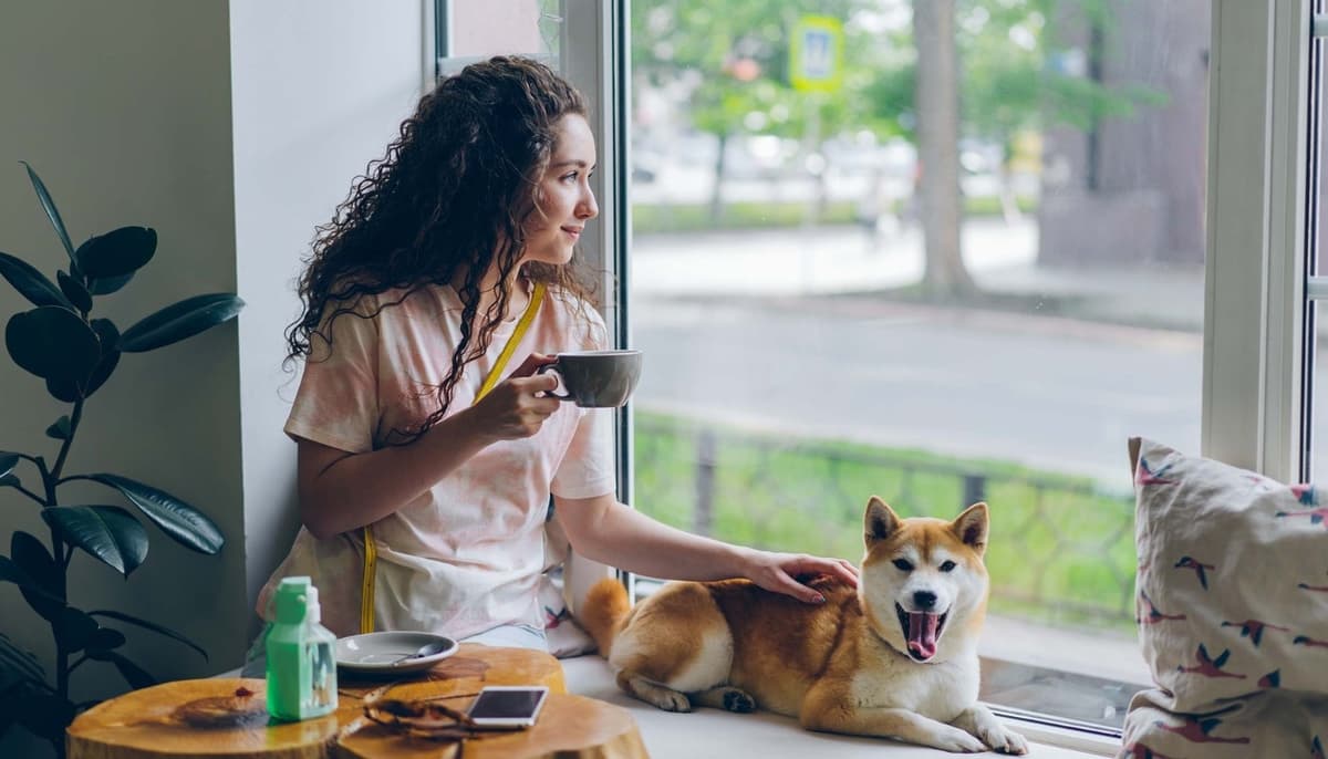 Thú cưng có thể vui chơi tự do mà không gây phiền toái cho những người xung quanh