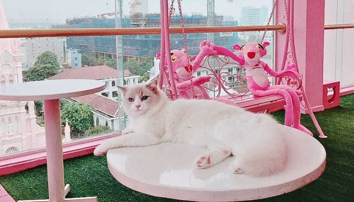 Nên chọn vật liệu dễ làm sạch