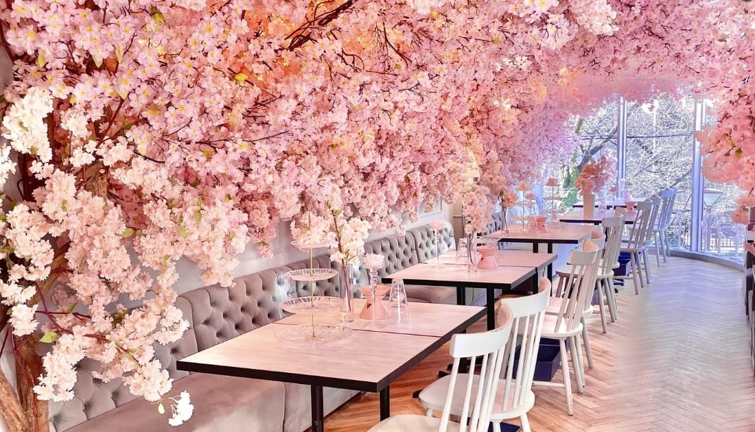 Không gian với tone màu hồng pastel đồng nhất