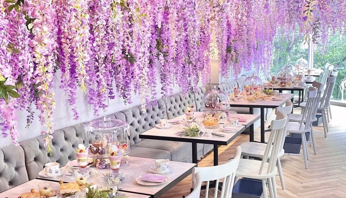 Những dảy hoa màu được bài trí đẹp mắt