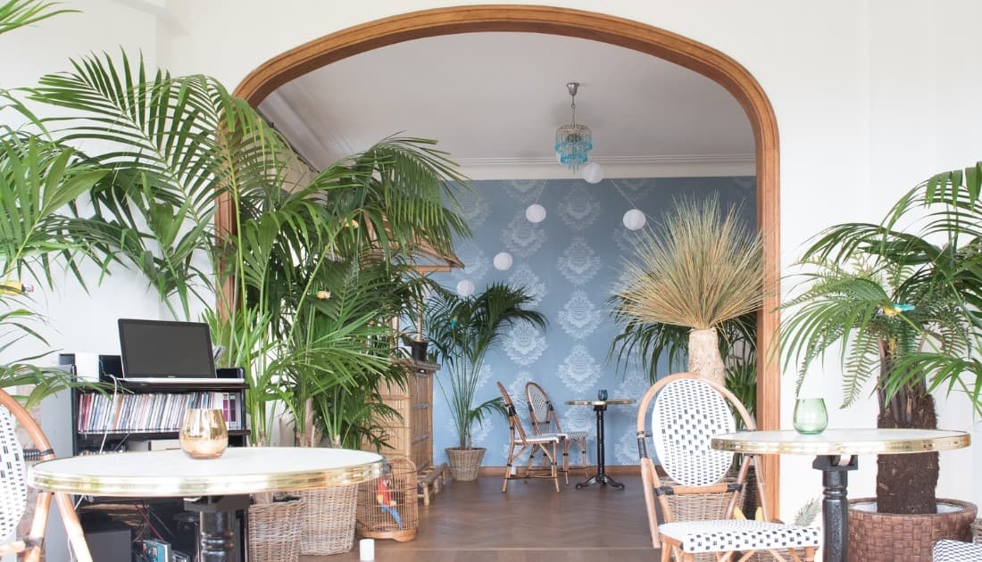 Hòa mình cùng phong cách Tropical