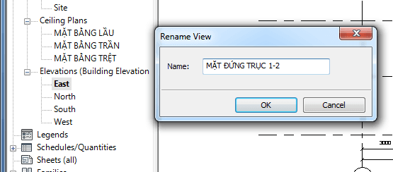 tao-luoi-truc-revit