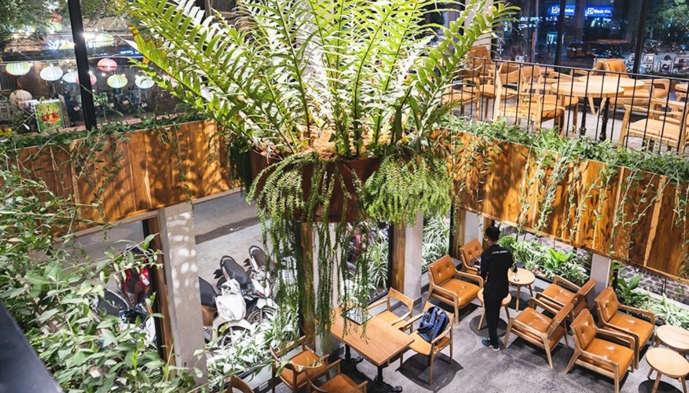 Các quán cà phê có phong cách nhiệt đới thường tận dụng ánh sáng tự nhiên